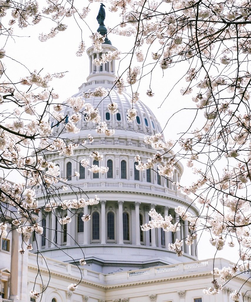 capital, usa, government-5043172.jpg