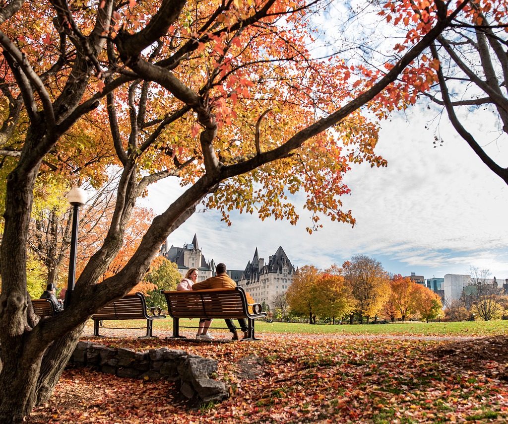 fall, park, bench-4641619.jpg