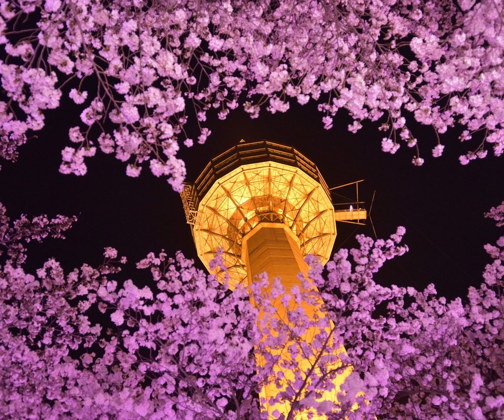 south korea, daegu, nightview-3625168.jpg